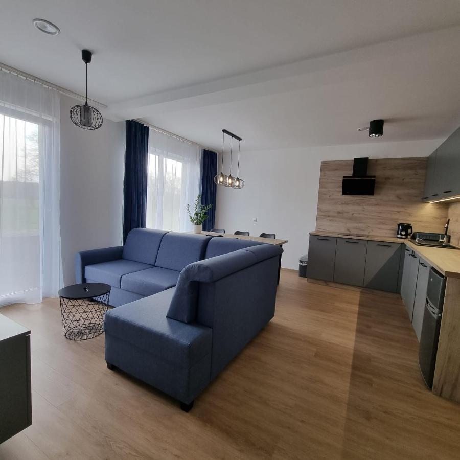 Apartamenty Boczna 3B Z Sauna I Balia Кудова-Здруй Екстер'єр фото